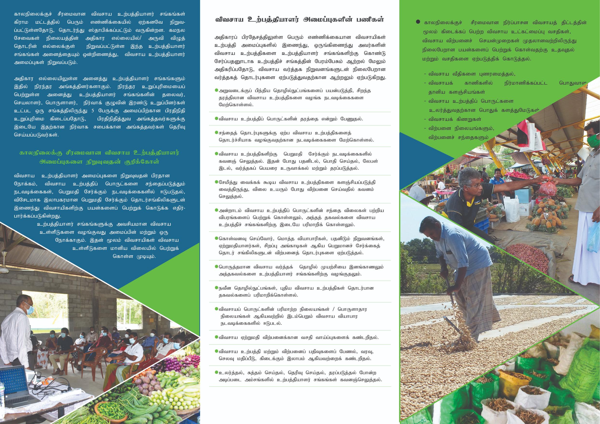 csiap1 news article